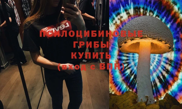 эйфоретик Богородицк