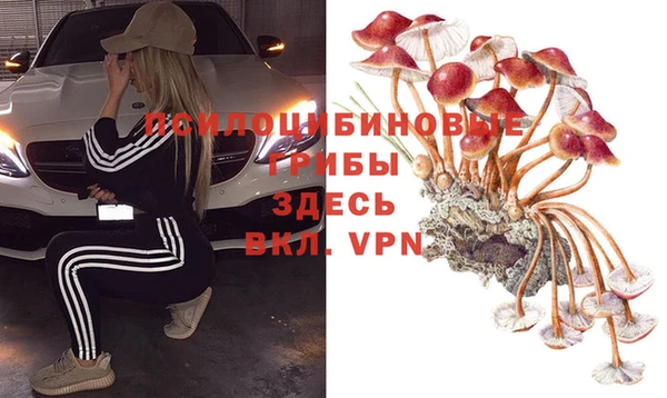 соль курить ск Арсеньев