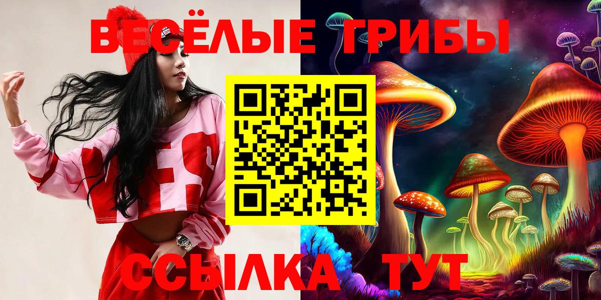 Коломна  Галлюциногенные грибы Cubensis  Галлюциногенные грибы GOLDEN TEACHER  Вход с VPN 