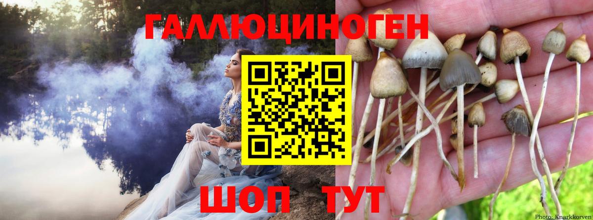 ГАШ Коломна